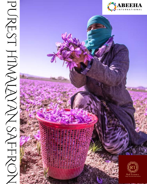 Premium Jar of Red Treasure Saffron